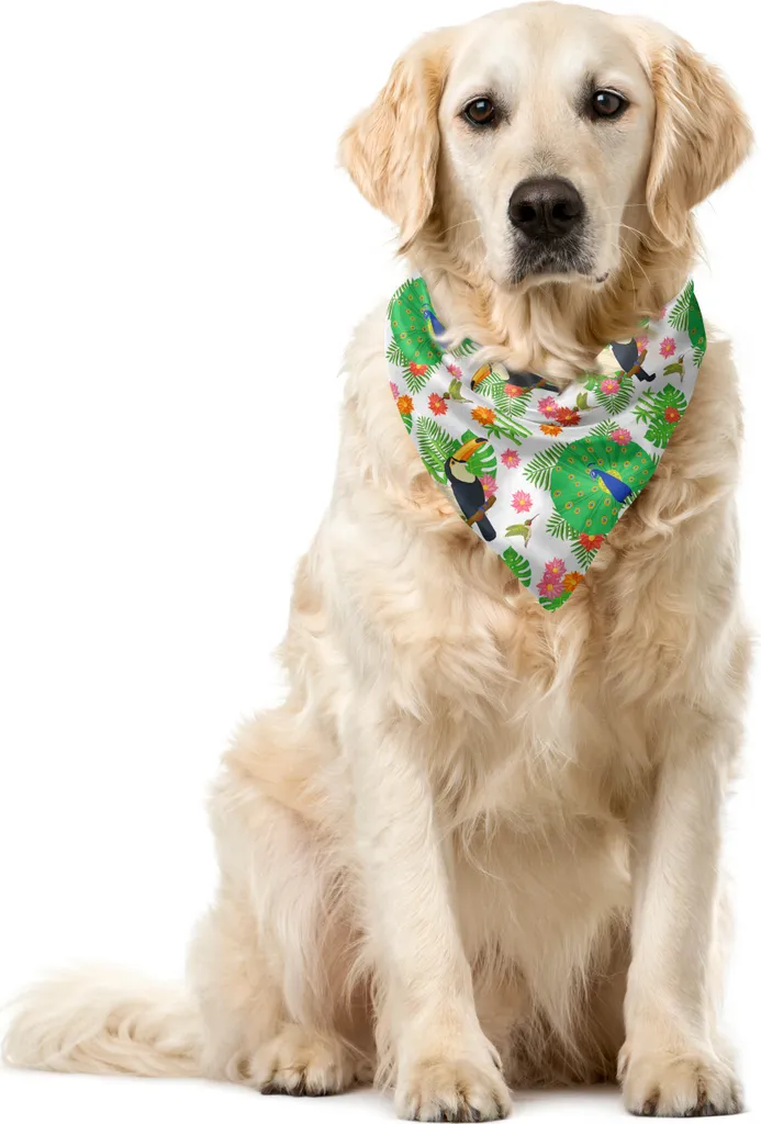 Bandana per Animali ABAKUHAUS Pavone Cartoon | Accessorio Fashion Pet