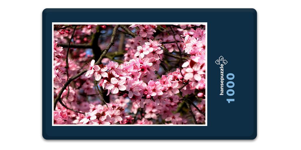 hansepuzzle 15452 - Kirsch-Blüte Puzzle, 1000 Teile, Natur, 60,0 x 46,0cm mit hochwertiger Aufbewahrung, Kartonbox und wiederverschließbarem Beutel