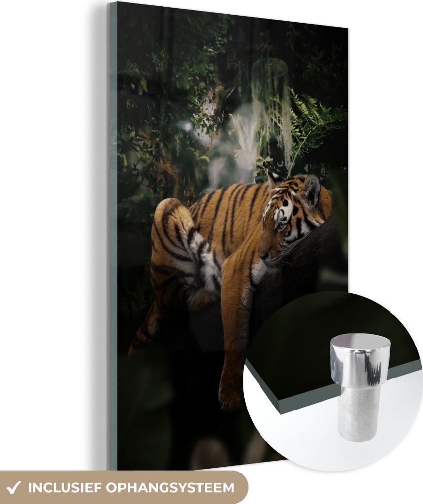 MuchoWow Glasbilder - Bilder auf Wandbild - Foto auf Glas Tiger - Dschungel - Baum 80x120 cm Wanddekoration aus Glas - Acrylglasbild - Acrylbilder ...