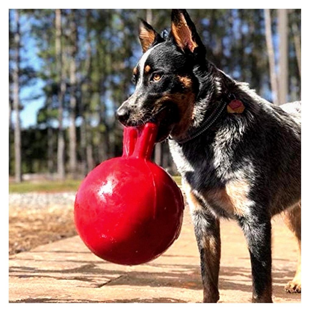 Hundespielzeug - Tug-n-Toss, 20 cm, rot, Unisex