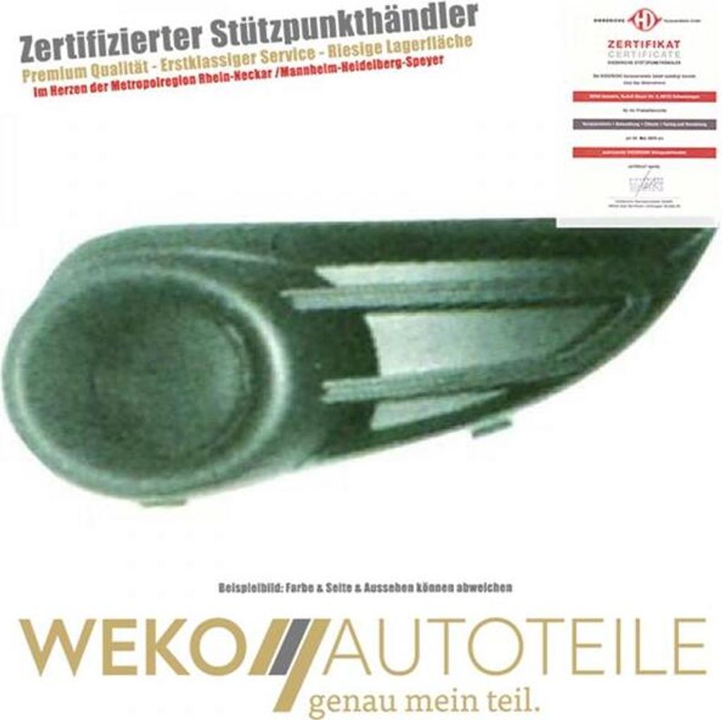 Lüftungsgitter Stoßstange links DIEDERICHS 4080143 für CITROËN