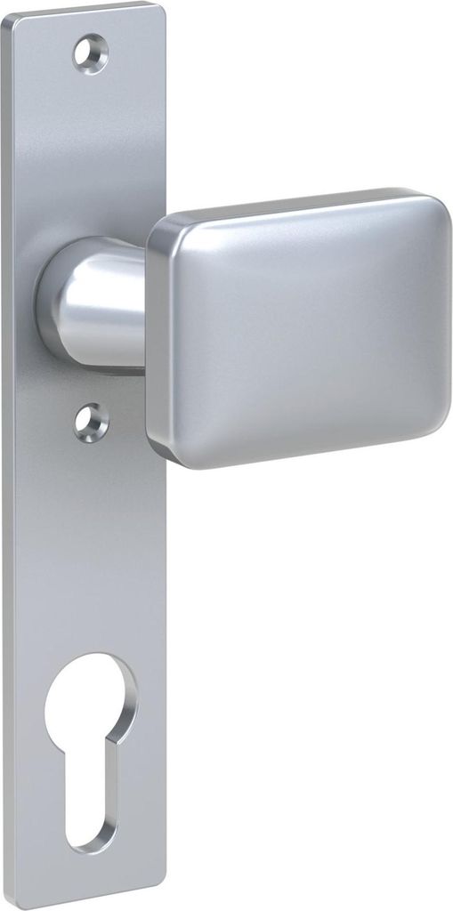 BASI - Knopfkurzschild - SK 913 - Alu F1 - Lochung: PZ - Knopf gekröpft - R/L verwendbar - 9900-1301