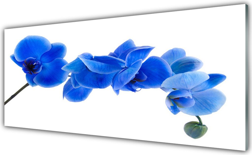 Küchenrückwand aus Glas 125x50cm Spritzschutz Blume Pflanzen