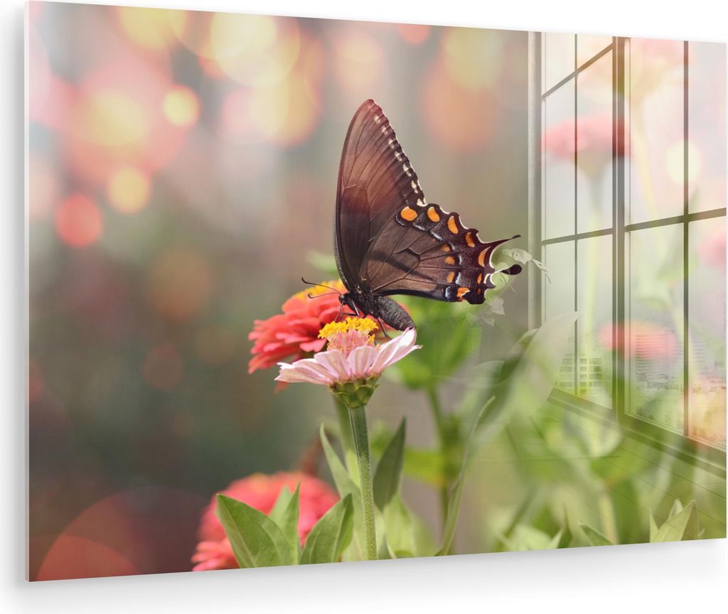 MuchoWow Glasbilder - Bilder auf Wandbild - Foto auf Glas Blumen - Schmetterling - Natur - Blume 30x20 cm Wanddekoration aus Glas - Acrylglasbild -...