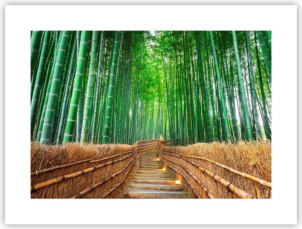 Poster - Poster ohne Rahmen - Bambus Pflanze - 40x30 cm - Wand Bild - Wanddeko - Wandbilder - Kunstposter - Wandposter - Bilder - Kunstdruck - Wand...