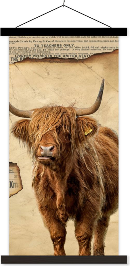 MuchoWow Textilposter Schottisches Hochlandrind - Retro - Zeitungsartikel 40x80 cm mit schwarzem Rahmen - Wandemalerei