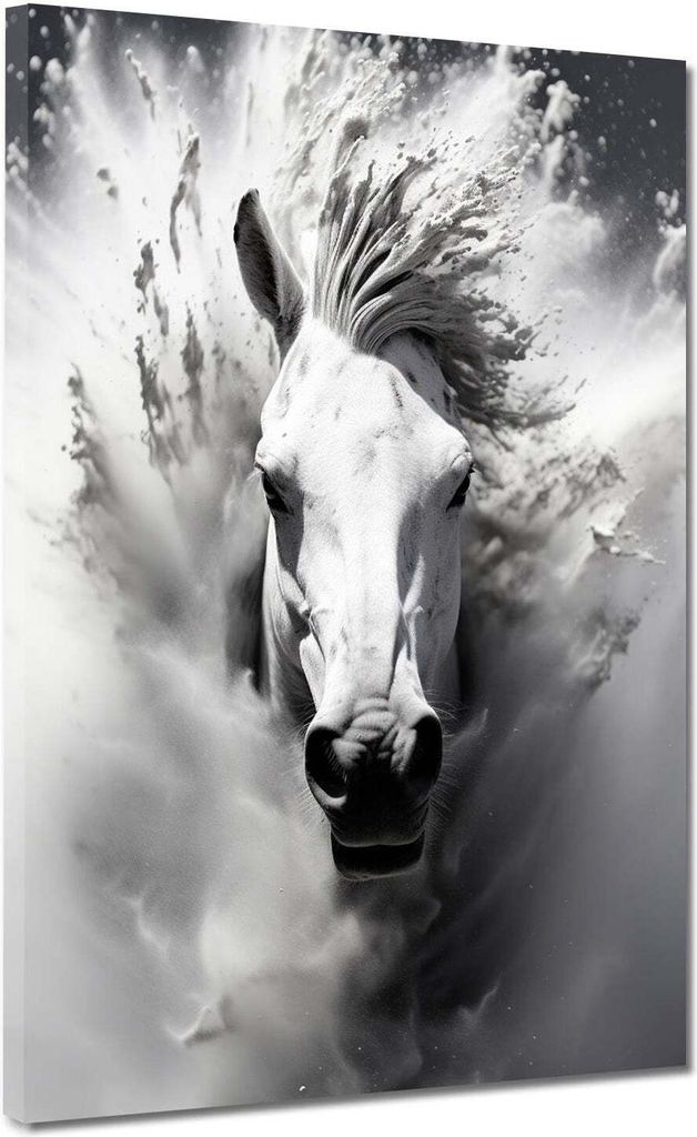 Abstrakt weißes Pferd frontal Leinwandbild Wandbild Kunstdruck XL Wanddeko: 30x40x2cm