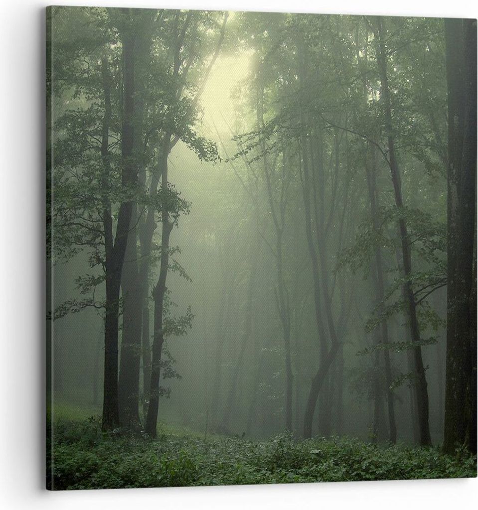 Bild auf Leinwand - Leinwandbild - Wald Nebel Baum - 70x70cm - Wand Bild - Wanddeko - Wandbilder - Leinwanddruck - Bilder - Kunstdruck - Wanddekora...