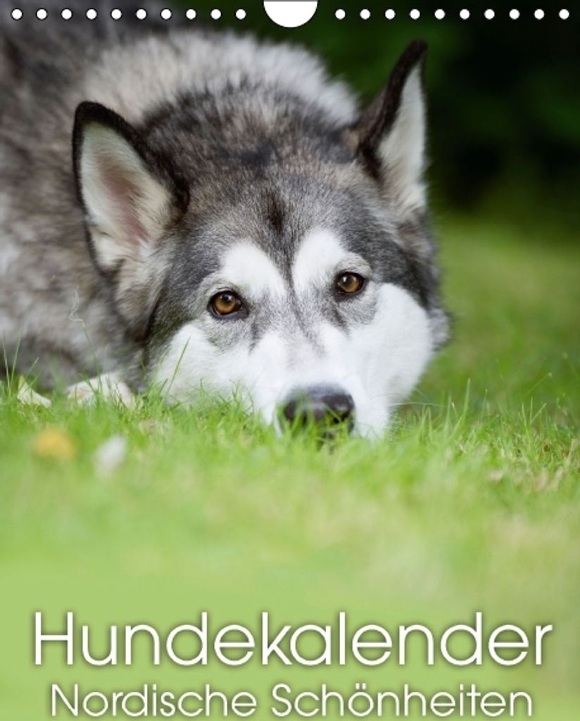 Calvendo Nordische Hunde für das ganze Jahr (Monatskalender, 14 Seiten) 978-3-660-50554-2