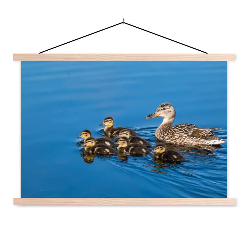 MuchoWow Textilposter Ente - Wasser - Vogel - Braun 60x40 cm mit holzfarbenen Rahmen - Bilder