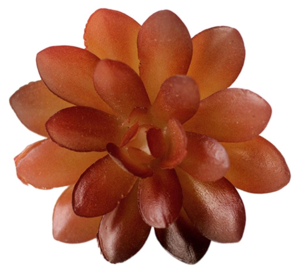 Mini-Kunstsukkulenten, realistische künstliche kleine Kakteen, farbenfrohe, künstlich beflockte, ungetopfte Pflanzen für Garten, Blumentopf, Kü...