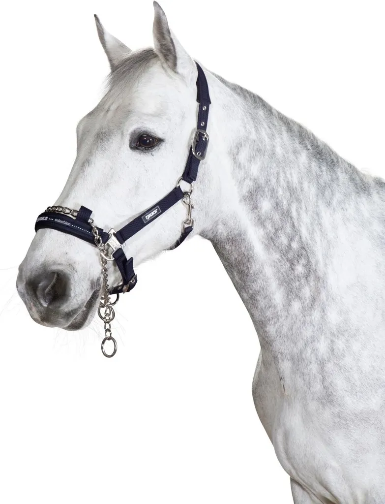 Licol Eskadron Nightblue Basics avec chaîne de contrôle taille Cheval