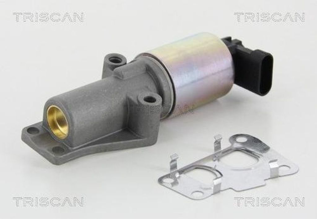 TRISCAN 8813 24010 AGR-Ventil mit Dichtungen für OPEL ZAFIRA B (A05) Abgasrückführungsventil