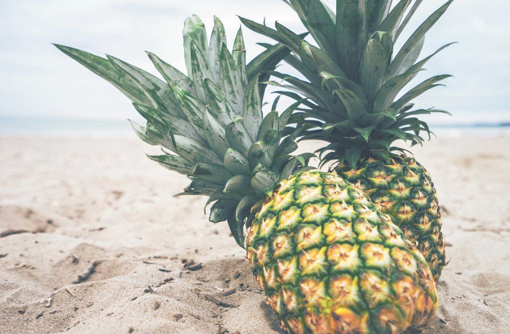 hansepuzzle 32921 - Ananas Puzzle, 500 Teile, Natur, 46,0 x 30,0cm mit hochwertiger Aufbewahrung, Kartonbox und wiederverschließbarem Beutel
