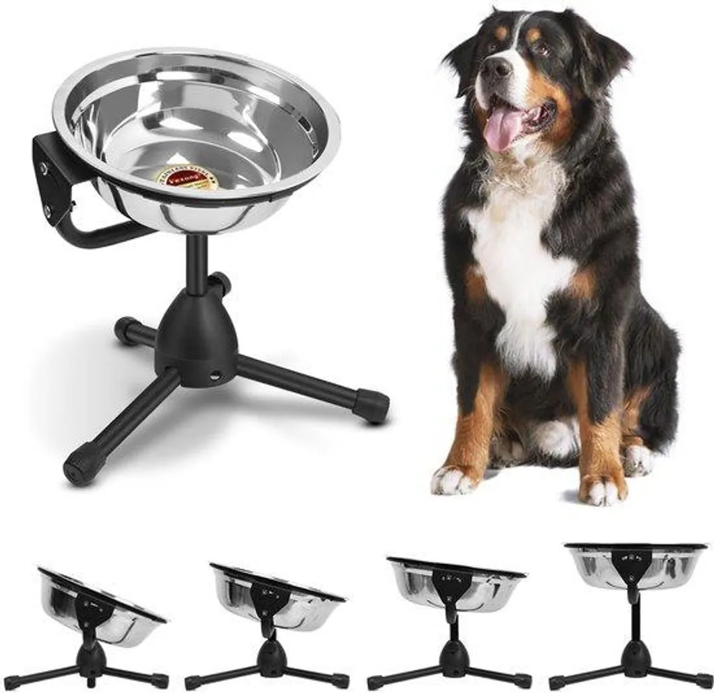 Gamelle chien surélevée : fini le mal de dos, acier inox et stable