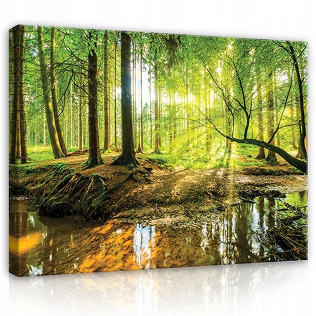 Tulup Leinwand-Bilder Wandbild Canvas Kunstdruck 125x50 Wasserfall See Bäume Nat 