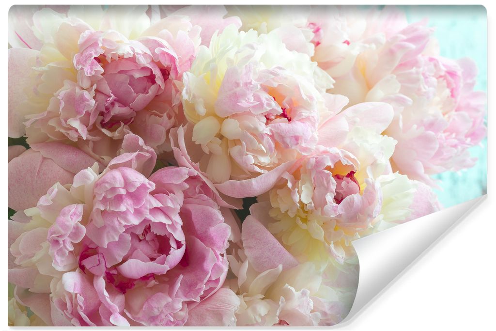 Muralo Selbstklebende Fototapete Pfingstrosen BLUMEN Peonies Pflanzen Natur 3D Br. 360cm x Hö. 240cm