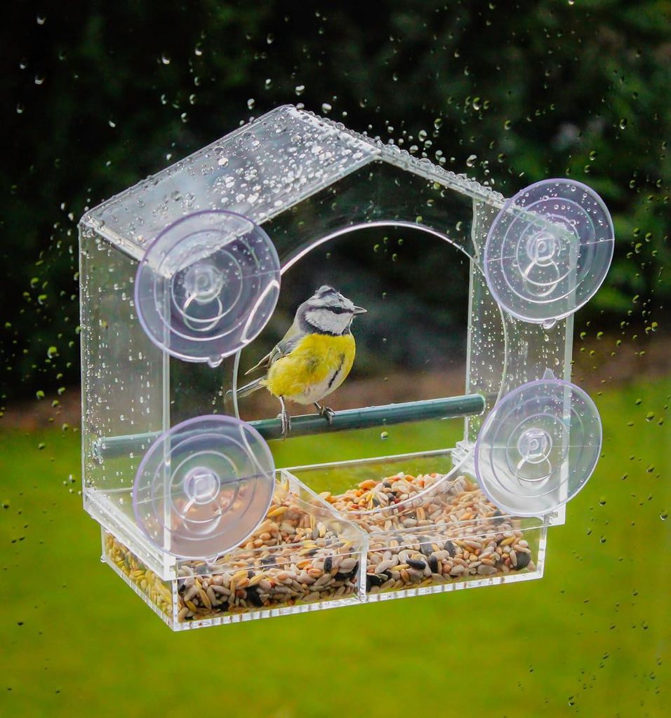 Transparente Fensterfütterstation für Vögel - Futterplatz - 1 Stück - 20 x 18 cm