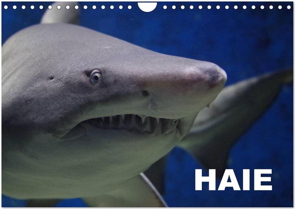 Haie (Wandkalender 2026 DIN A4 quer), CALVENDO Monatskalender