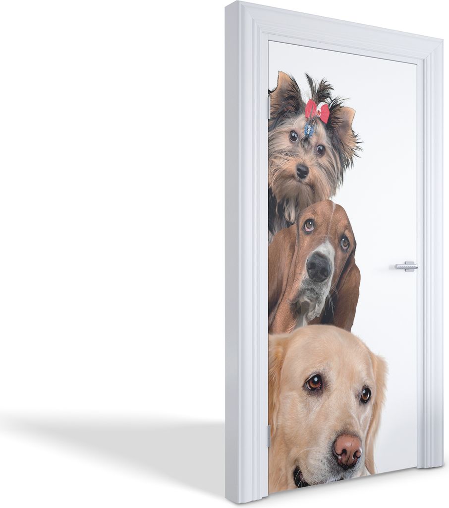 Türaufkleber Innentüren Selbstklebende Kreativ Wandsticker - Drei Hunde zusammen - 95 x 205 cm
