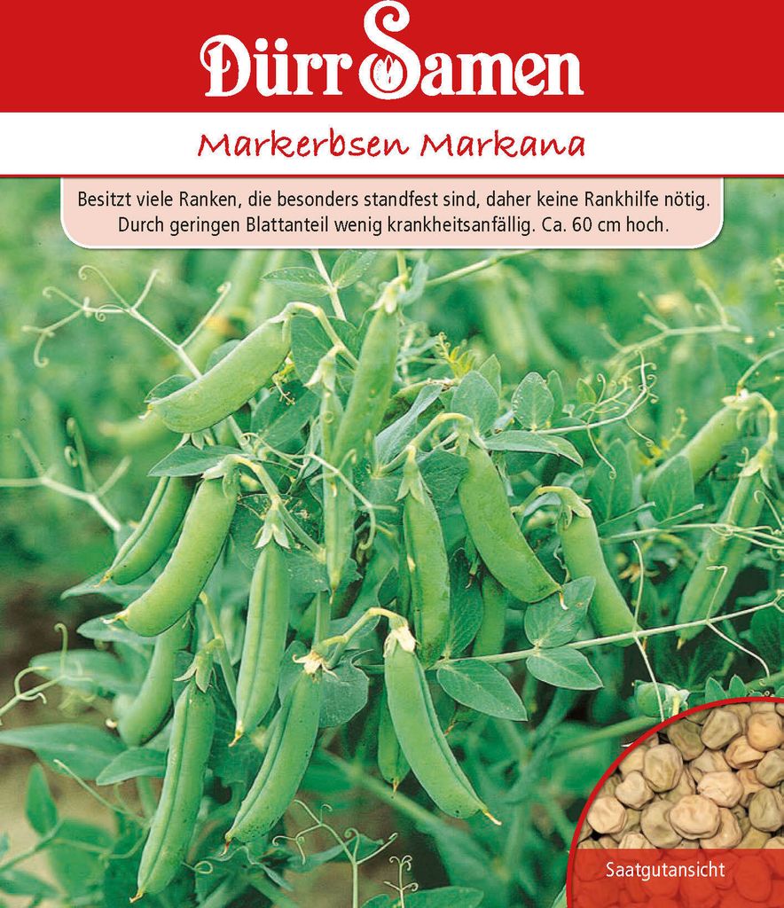 Artikelbild 1 von 'Markerbse Markana' aus der Kategorie Markerbsensamen