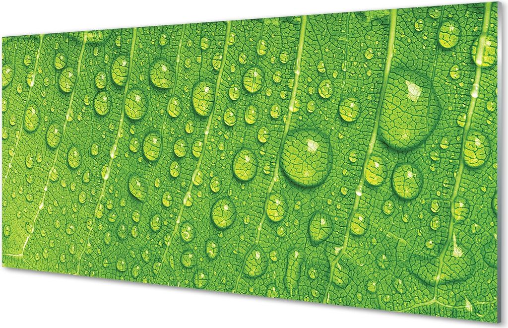 Glasbilder 140x70 Wandkunst Tropfen Blatt Makro Produktbild 