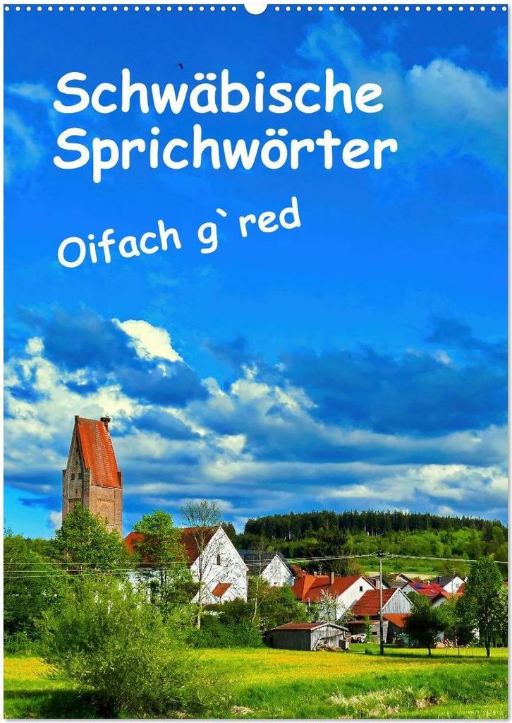 Schwäbische Sprichwörter Oifach g`redt (Wandkalender 2026 DIN A2 hoch), CALVENDO Monatskalender