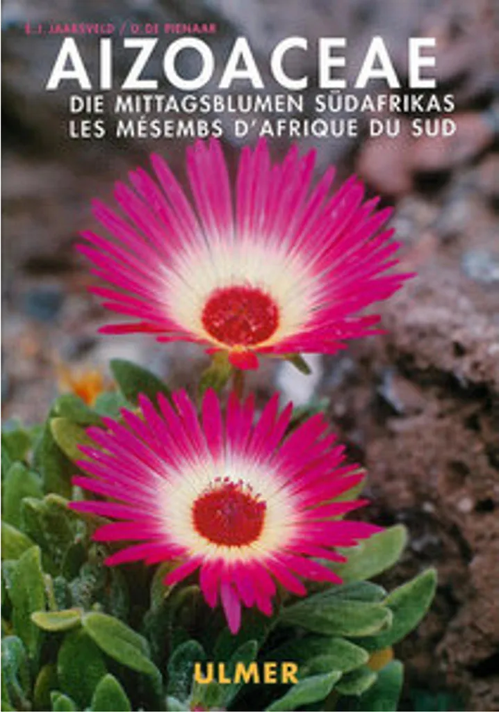 Aizoaceae Plante Increvable pour Débutant - Succulente Résistante 5cm