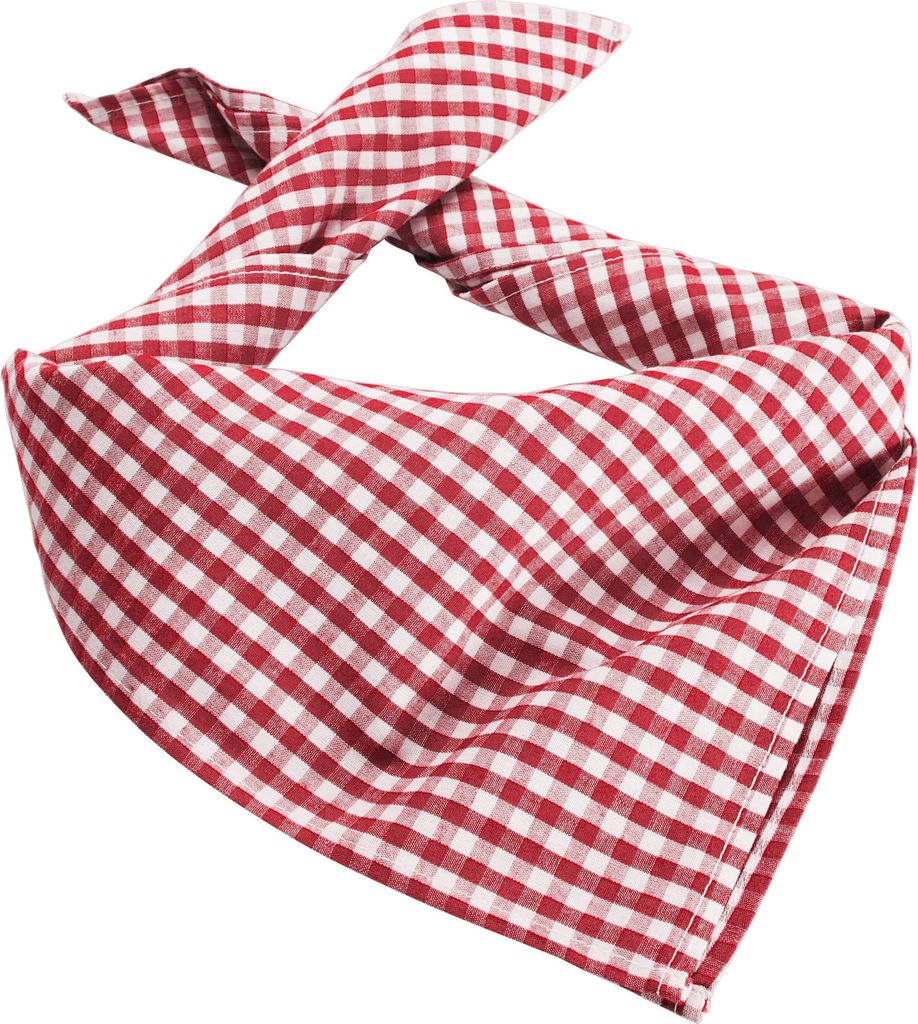 Trachtentuch kariert - rot/weiß Produktbild 1