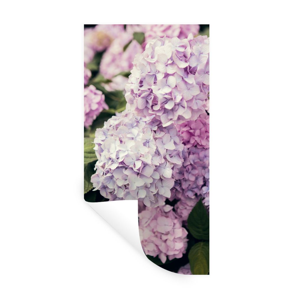 MuchoWow Wandtattoo Wandsticker Wandaufkleber Rosa Hortensie 80x160 cm Selbstklebend und Repositionierbar - Sticker - Dekorfolie