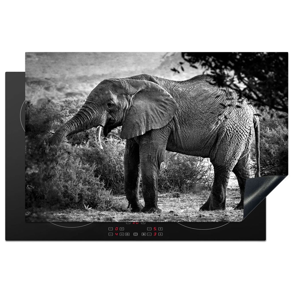 KitchenYeah Herdabdeckplatte Profil eines Elefanten in schwarz-weiß , 80x52cm, Küche Deko, Glaskeramikkochfeld Herdabdeckung, Abdeckplatte fùr...