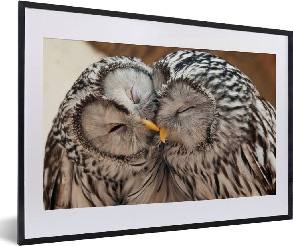 MuchoWow MuchoWow Gerahmtes Poster Eulen - Vögel - Schnabel - Familie 60x40 cm - Poster mit zchwarzem Bilderrahmen - Schlafzimmer - Plakat in ...