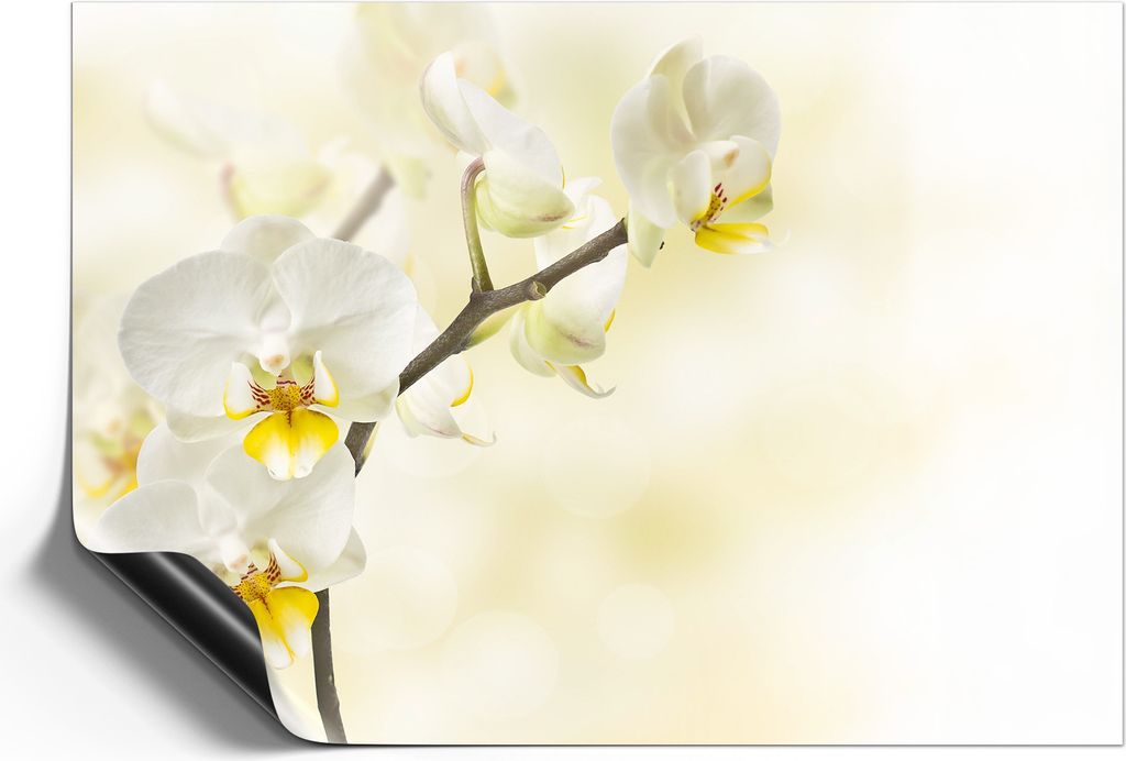 DEQORI Magnetmatte Universal 59x42 cm (A2) 'Orchideenzauber' Magnetfolie Kalender Planer