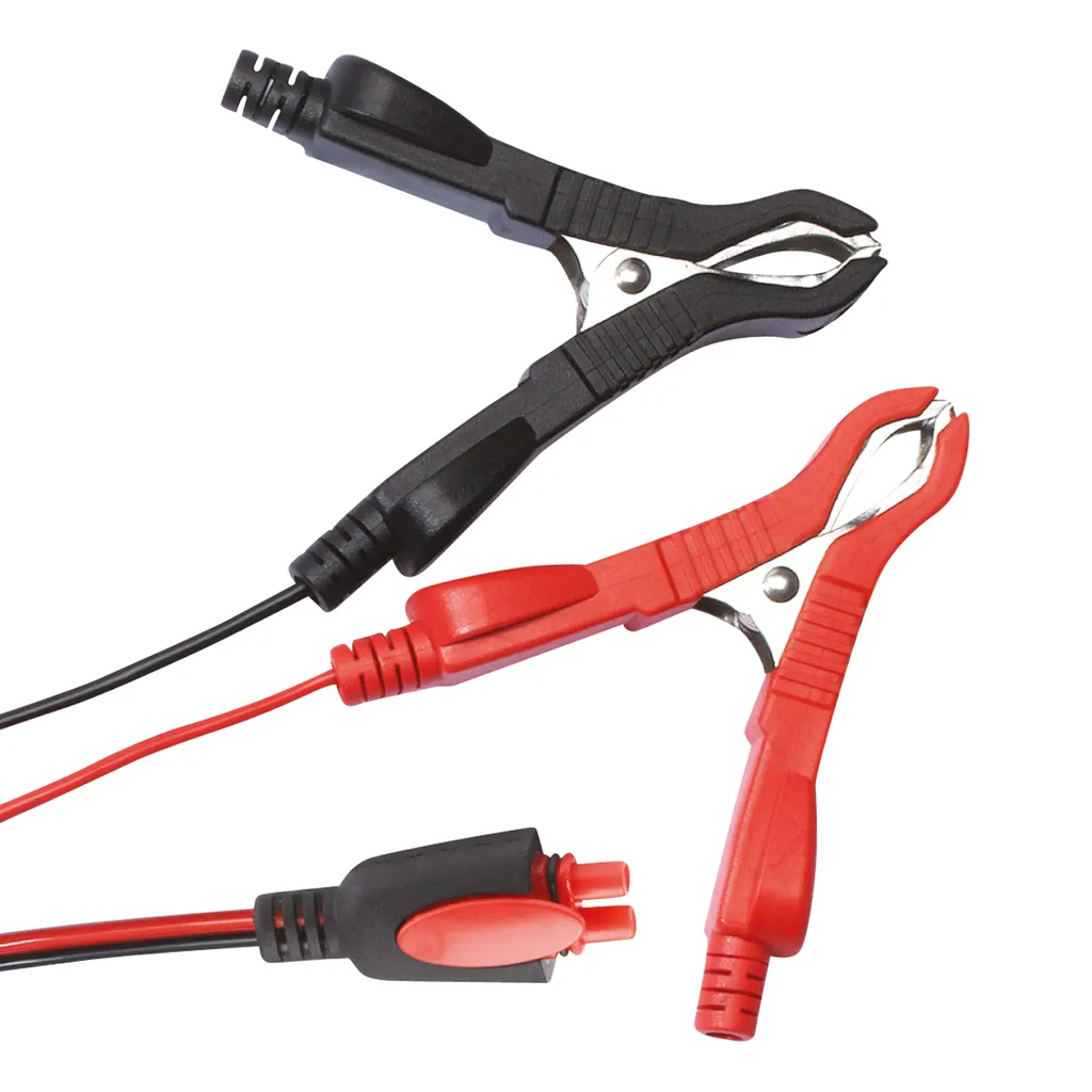 Caricabatterie Intelligente Carpoint 3.5A | Salva la Batteria di Auto e Moto