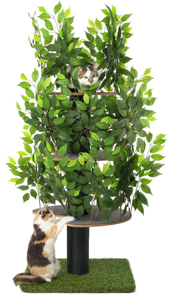 Kratzbaum Natur zum Klettern, Verstecken und Schlafen - Produktbild 