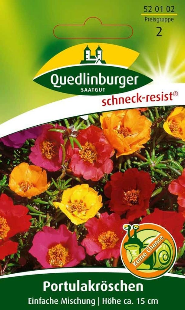 Quedlinburger Saatgut - Portulaka jednokwiatowa - Nasiona - Zdjęcie produktu 
