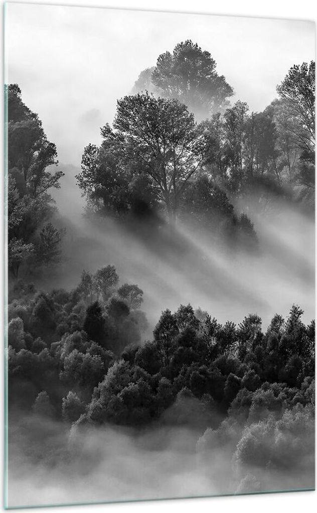 Bilder auf glas - Einteilig - Schwarzweiß Bäume Nebel - Produktbild 
