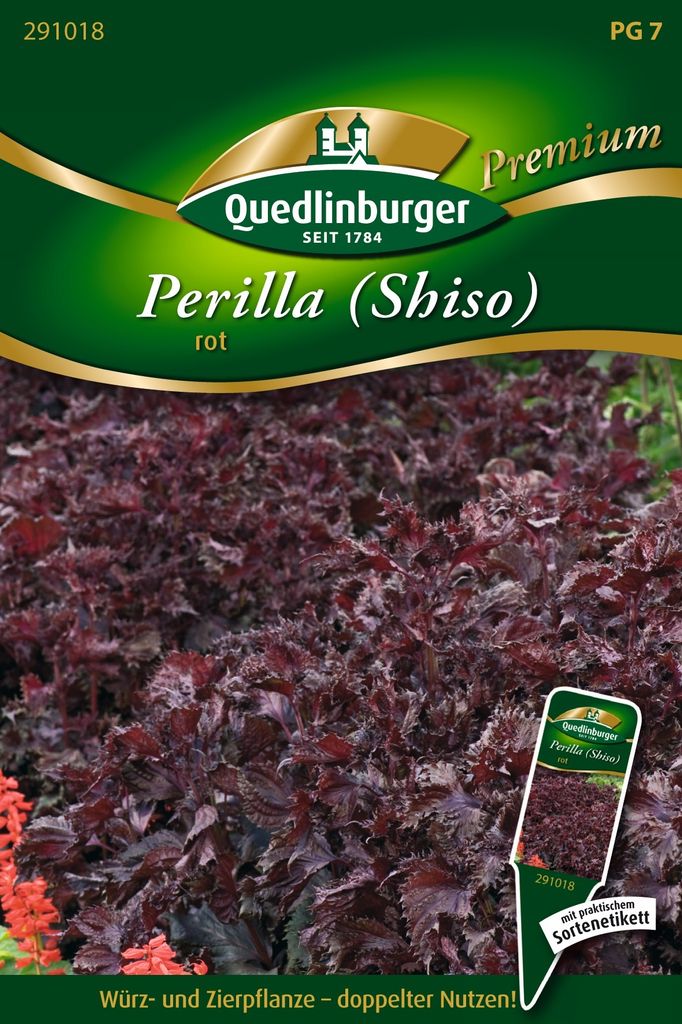 Perilla Rot | Kräutersamen von Quedlinburger Produktbild 
