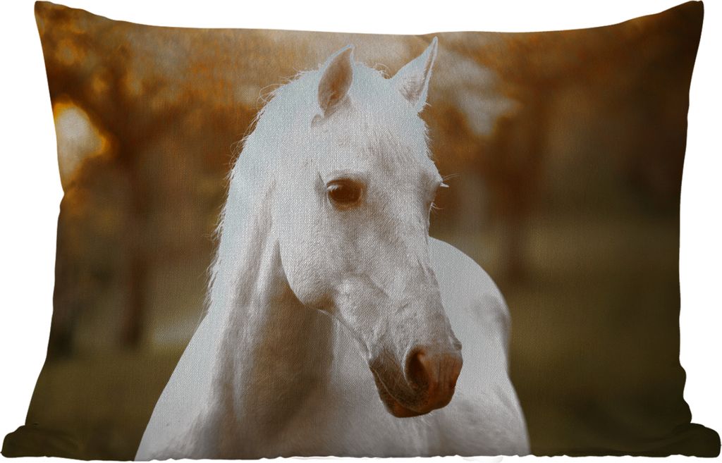 MuchoWow Outdoor Kissen - Pferd - Sonne - Herbst - Tiere - Natur - 60x40 cm - Wetterfest - Lounge Kissen - Zierkissen - Kissen für Innenräume