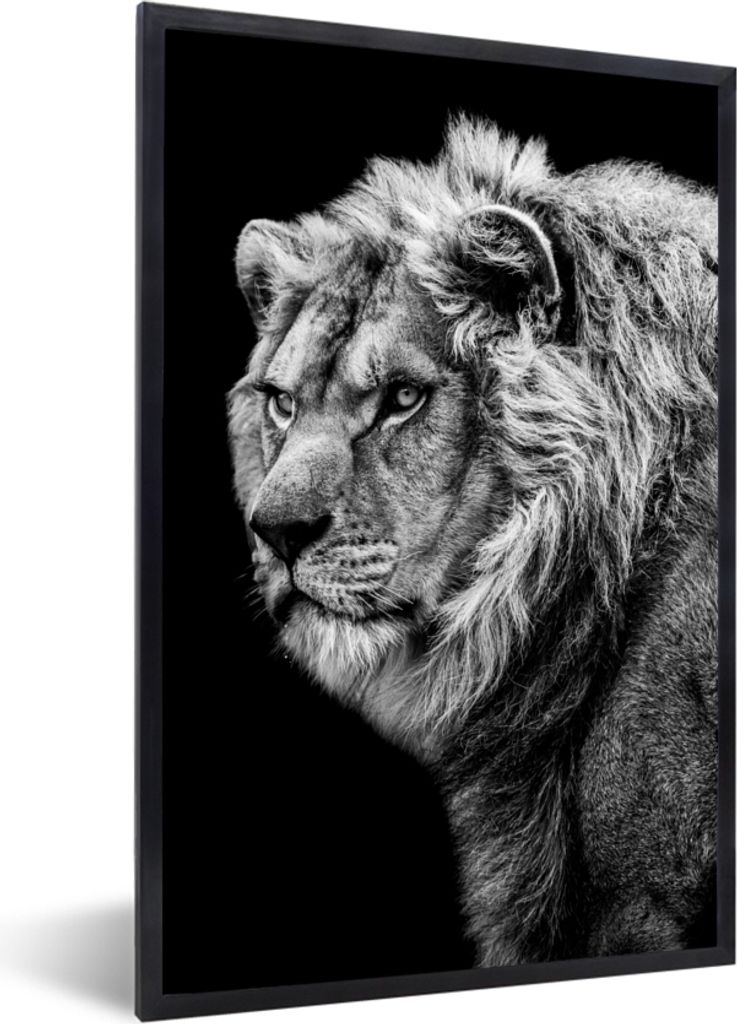 MuchoWow Gerahmtes Poster Löwe - Porträt - Wildtiere - Schwarz - Weiß 60x90 cm - Poster mit Schwarzem Bilderrahmen Wandposter Rahmen Foto Bild...