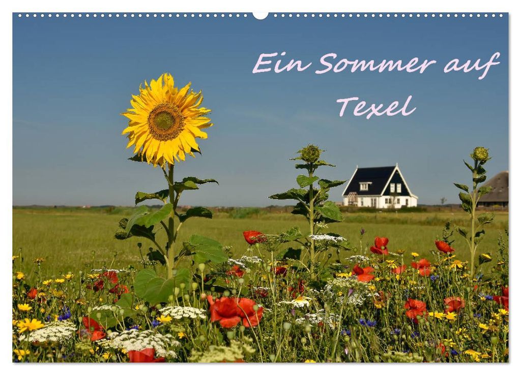 Ein Sommer auf Texel (Wandkalender 2027 DIN A2 quer), CALVENDO Monatskalender