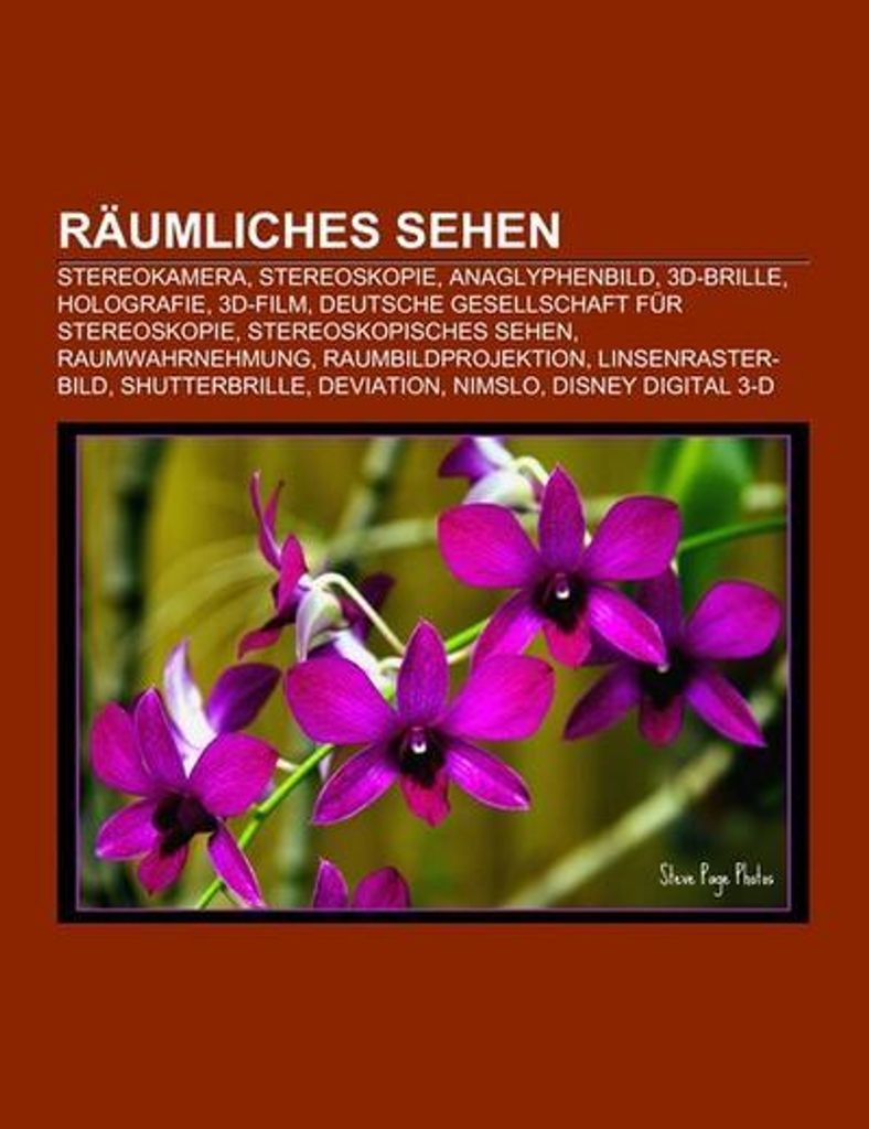 Räumliches Sehen