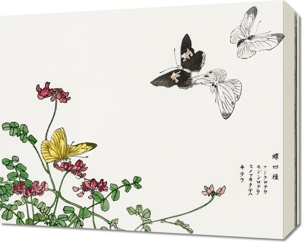 Bild 50x40cm Schmetterlinge und Blumen Morimoto Toko Japanisch Vintage für das Wohnzimmer