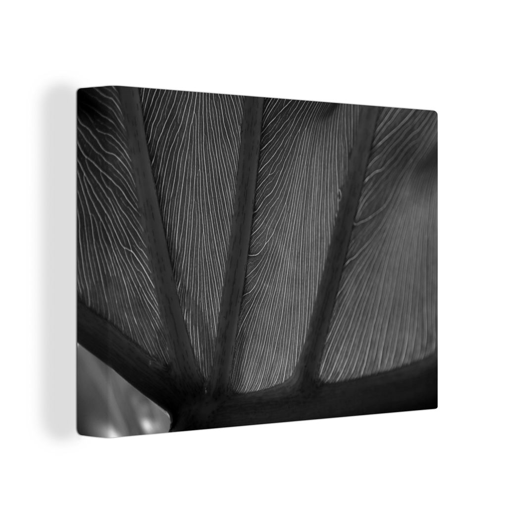 OneMillionCanvasses - Leinwandbilder - 40x30 cm - Großes Blatt mit Adern - schwarz und weiß - Vlies Leinwandbild - Wandbilder Wohnzimmer - Schlaf...