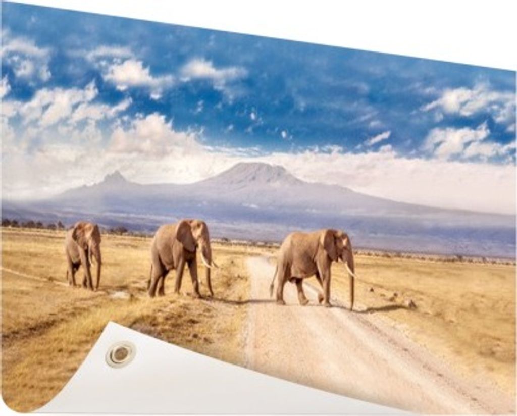 MuchoWow 160x80 cm Outdoor-Poster Gartendeko Sichtschutz Garten Poster für den Garten Drei Elefanten kreuzen