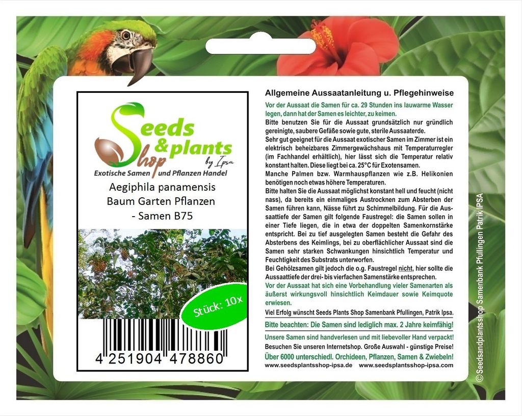 10x Aegiphila panamensis Baum Garten Pflanzen - Samen B75
