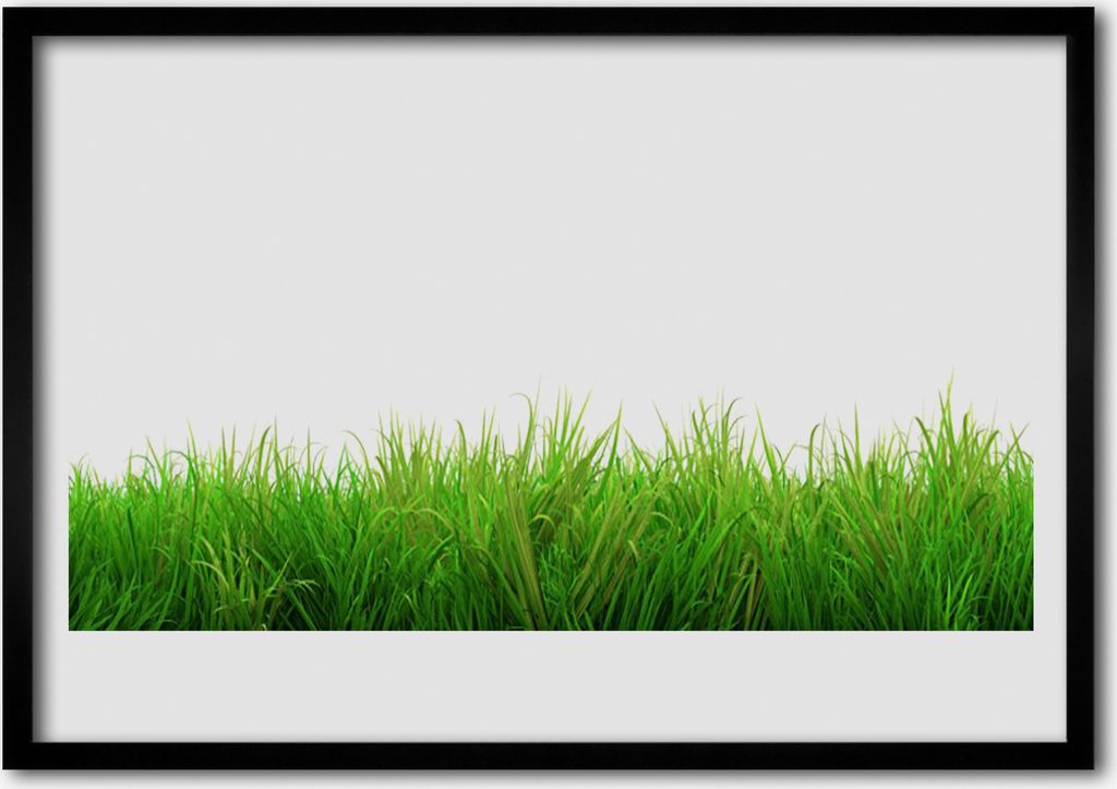 Bild 70x50 MDF-Rahmen Wandkunst Gras Natur Pflanze