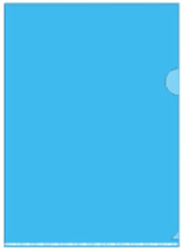Classement dossiers A4 pochettes bleues lot de 40 pour bureau