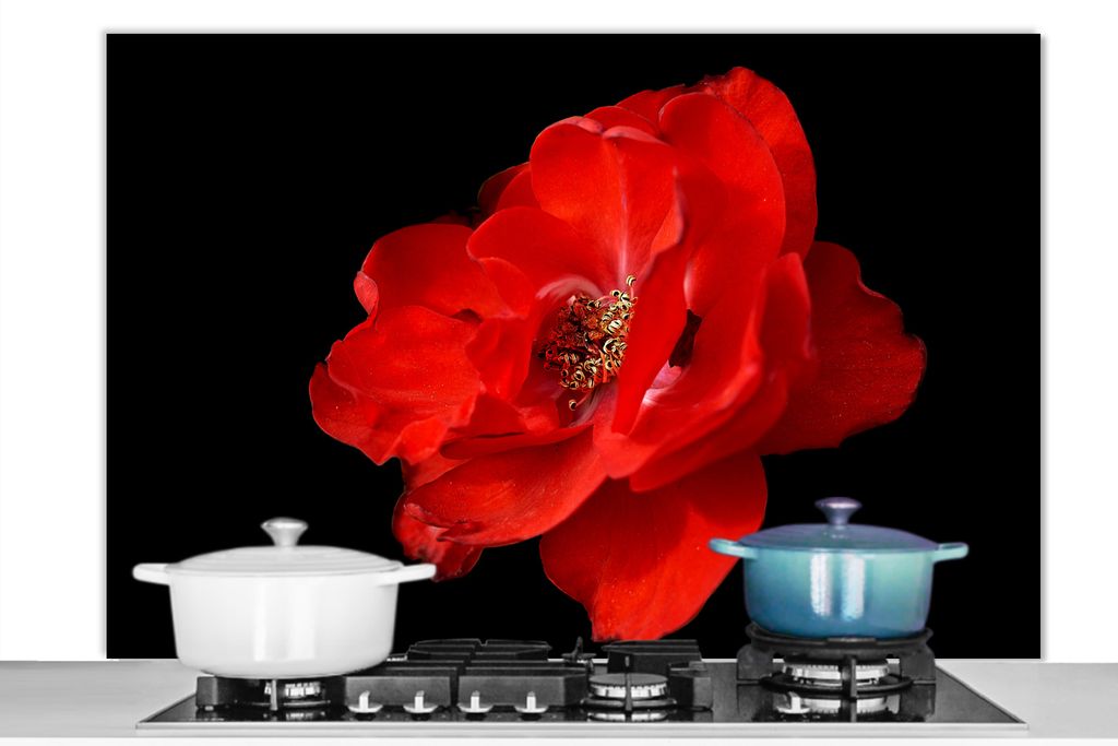 KitchenYeah Spritzschutz Küche - Küchenrückwand - Wandschutz für Herd und Spüle - Eine rote Pfingstrose auf schwarzem Hintergrund 120x80 - A...