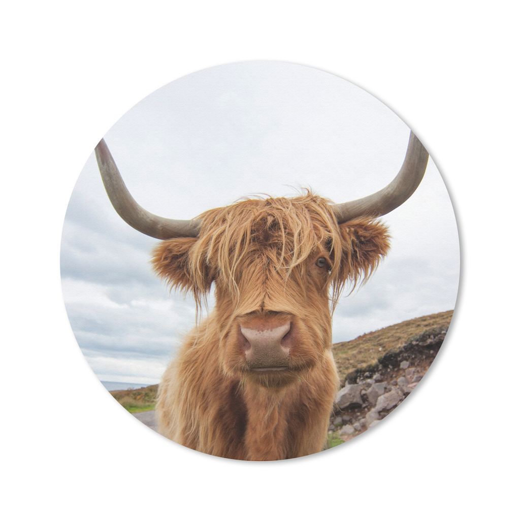 MuchoWow Mauspad Mousepad Schottischer Hochländer - Kuh - Landschaft 30x30 cm - Mousepads - Maus Mat - Pad - Mausunterlage - Tischunterlage - Sc...